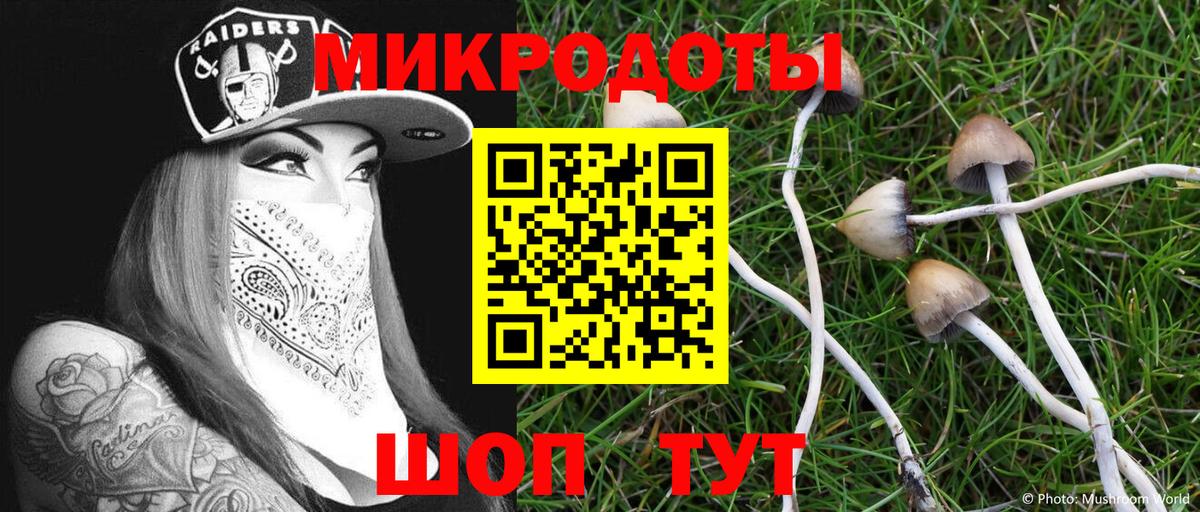 хочу   Галлюциногенные грибы мицелий  Вход с VPN  Сланцы 